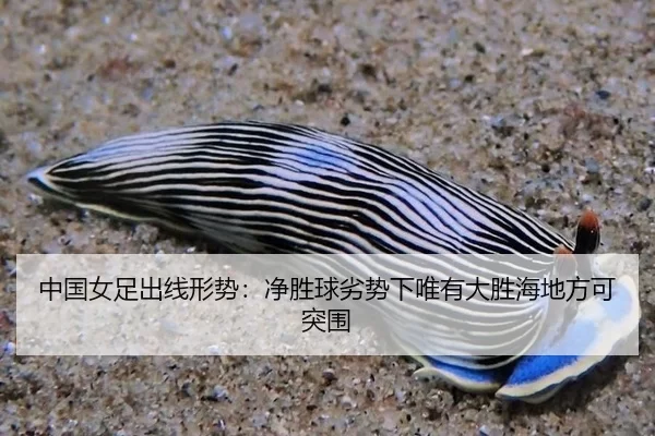 中国女足出线形势：净胜球劣势下唯有大胜海地方可突围